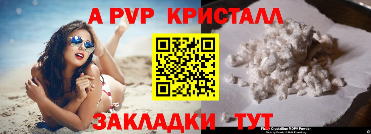 Alfa_PVP СК Туапсе