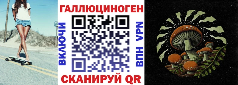 Галлюциногенные грибы Psilocybine cubensis  Туапсе 