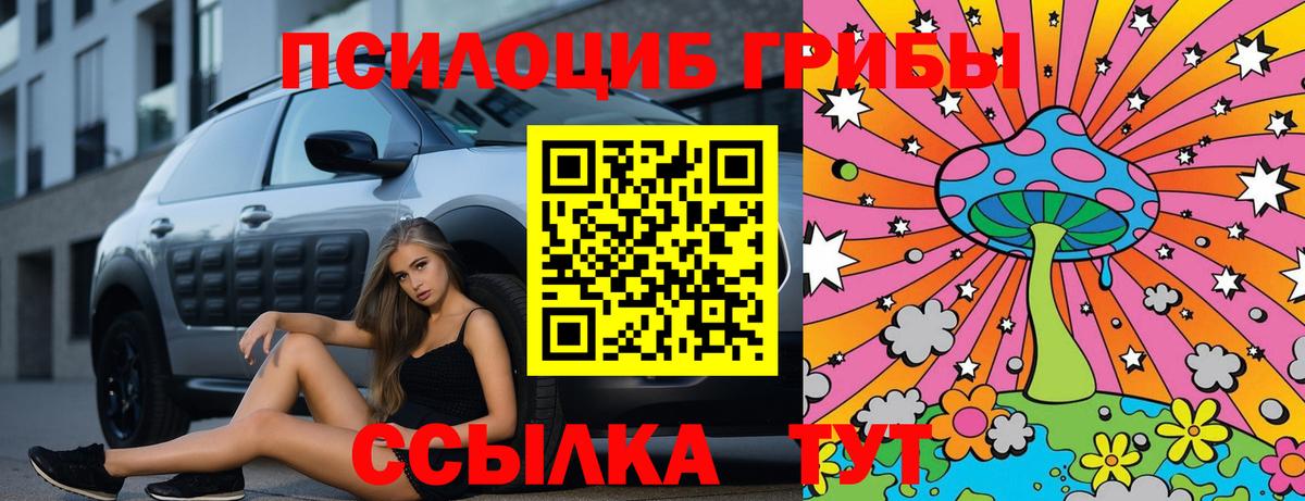 Псилоцибиновые грибы прущие грибы  где купить наркотик  Туапсе  Вход с VPN 